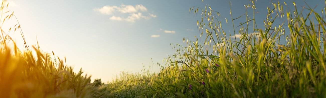 10 Must-See Travel Spots in Spain From Beaches to Historic Cities