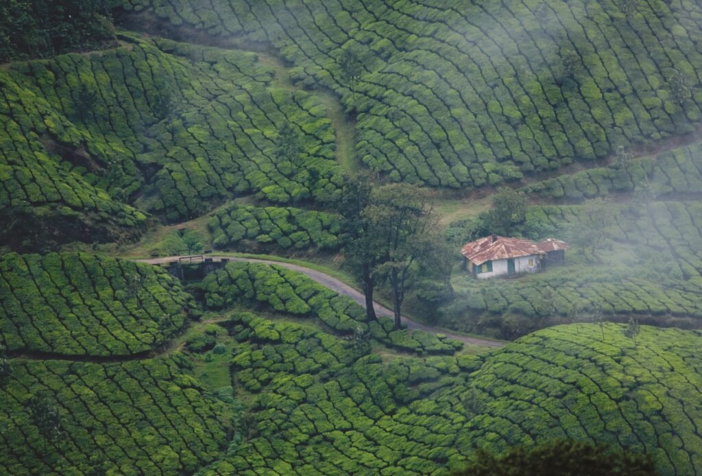 Trending Travel Destinations You Should Book Now