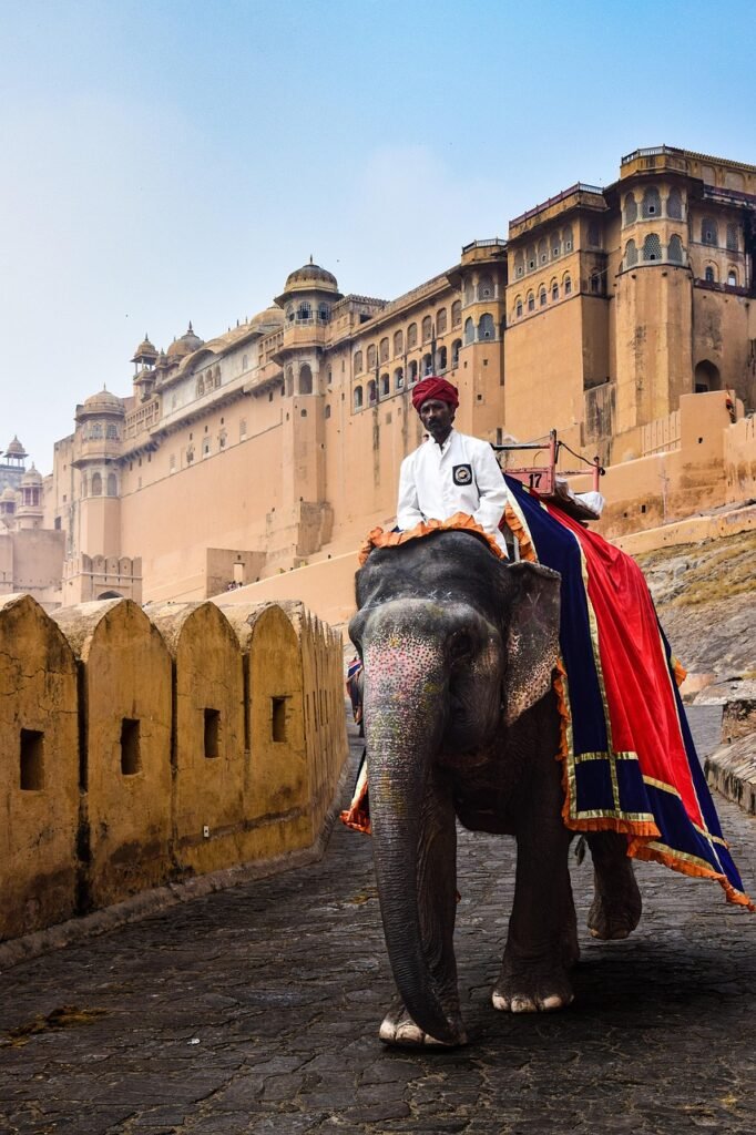 jaipur, rajasthan, india, fort, castle, elepant, fashion, nature, jaipur, jaipur, jaipur, jaipur, jaipur, rajasthan, rajasthan