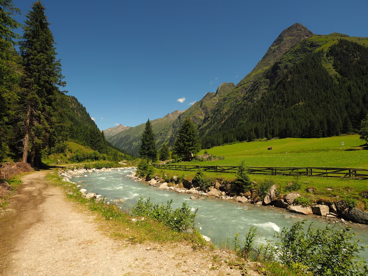 Tirthan Valley, a hidden Himachal gem, surrounded by pine trees