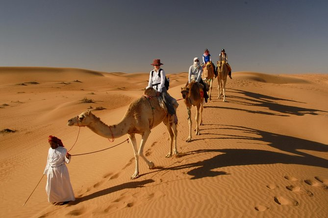 camel trekking in dubai