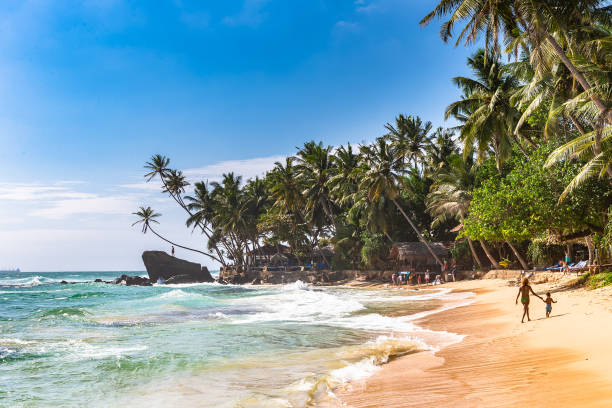 This is the image of Beach Chill & Local Markets, Galle