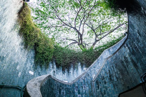 Fort Canning Hill, Singapore
