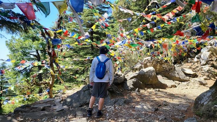 Tibetan flags and mountain view from McLeod Ganj trail – backpacking destination under ₹5,000