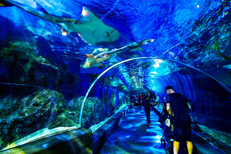 Ocean world, Bangkok