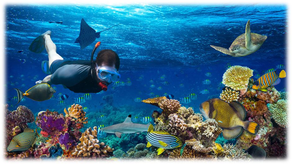 Snorkeling, Maldives