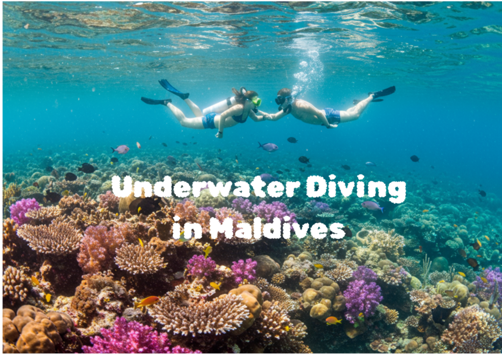 Underwater shot of a couple diving in Maldives over colourful coral reefs, with sunlight streaming from the surface